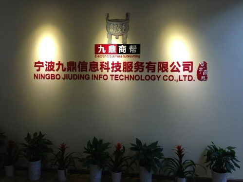 寧波九鼎信息科技服務(wù) 引領(lǐng)科技技術(shù)服務(wù)新浪潮
